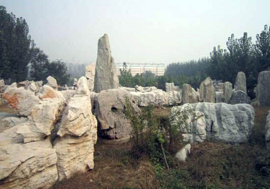 山東園林石